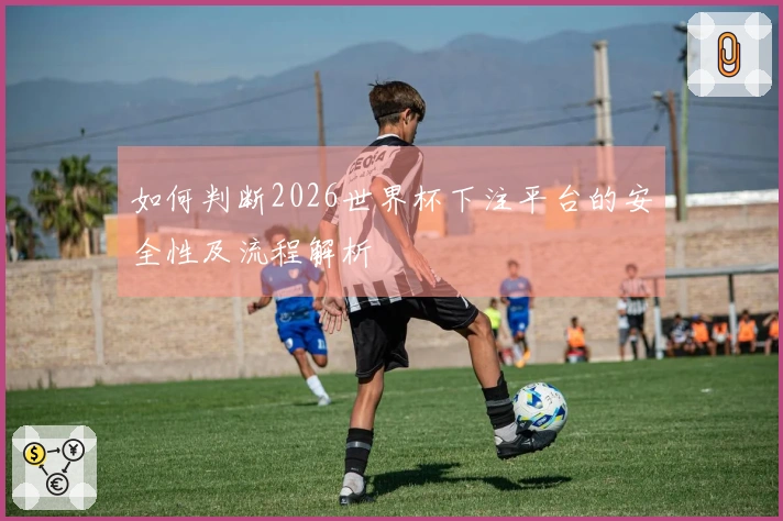 如何判断2026世界杯下注平台的安全性及流程解析