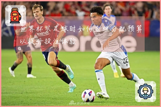 世界杯买足球时如何合理分配预算以提升投注体验
