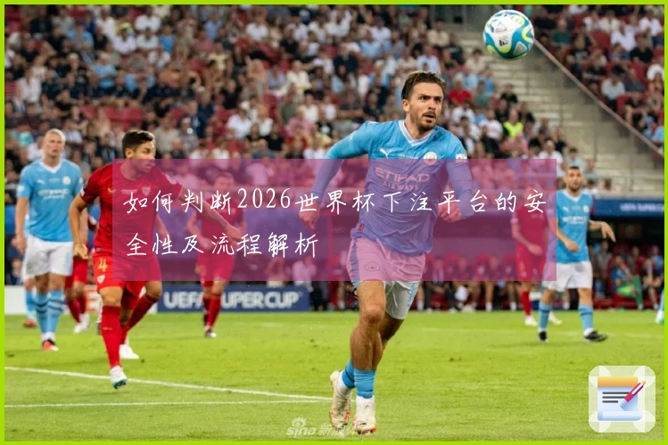 如何判断2026世界杯下注平台的安全性及流程解析