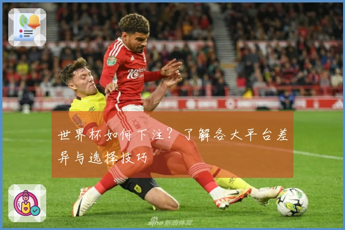 世界杯如何下注？了解各大平台差异与选择技巧