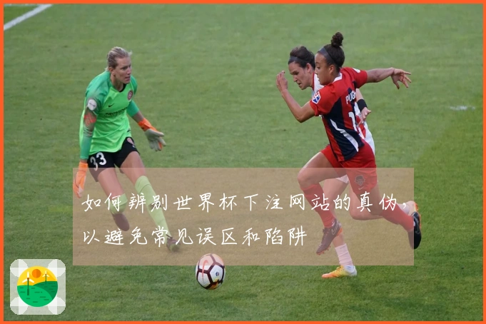 如何辨别世界杯下注网站的真伪，以避免常见误区和陷阱